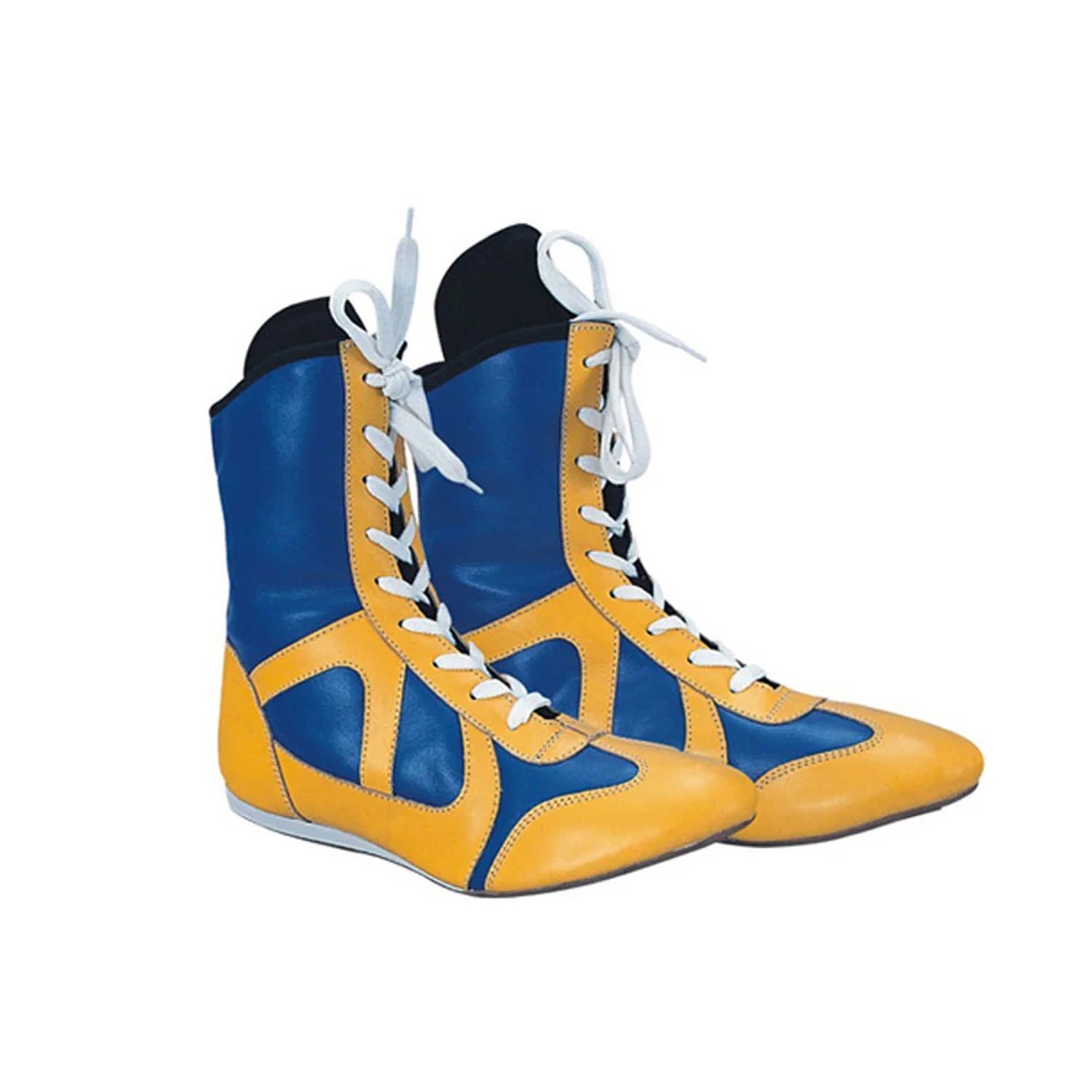 Boxing Shoes